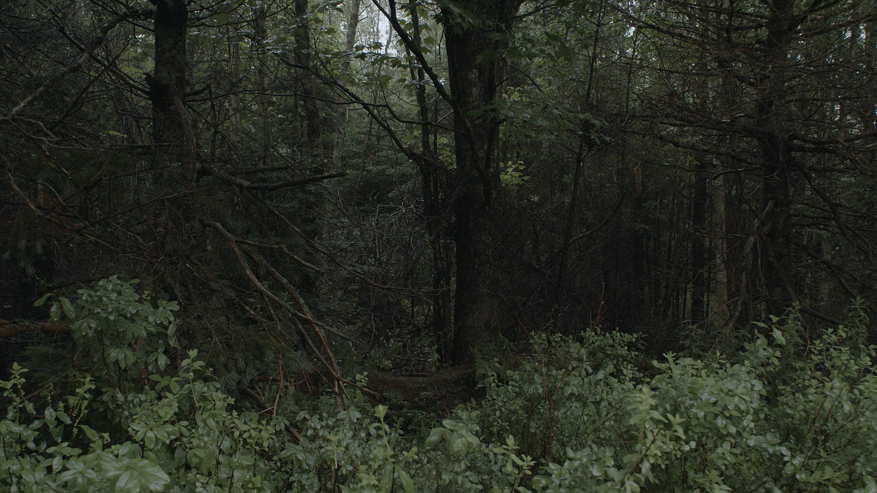 Unless the Eye Catch Fire — image 4