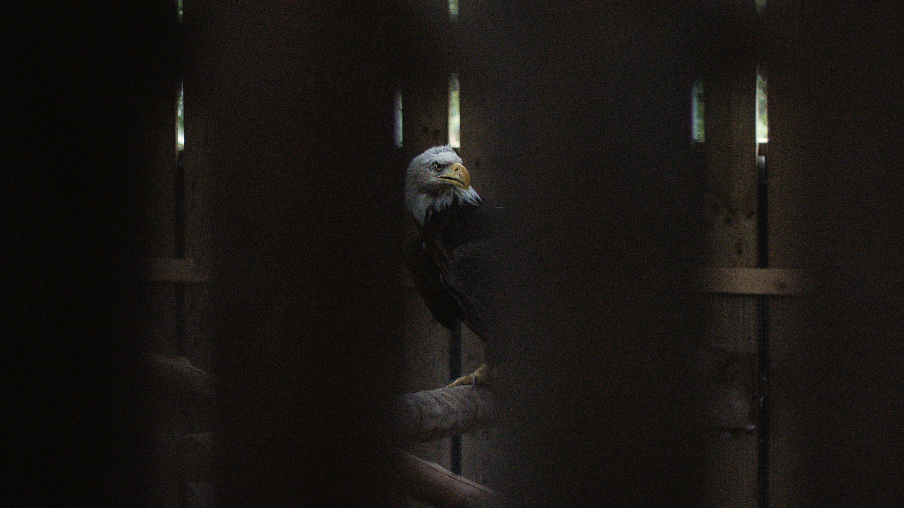 Unless the Eye Catch Fire — image 5